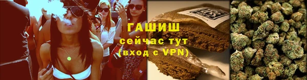 прущие грибы Нефтегорск