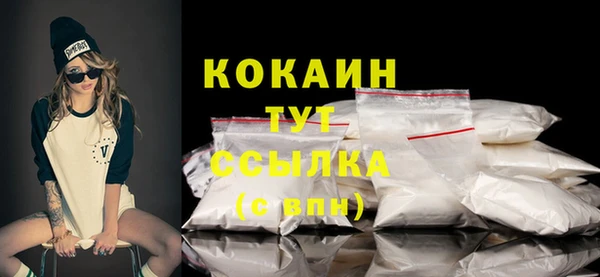 гашик Новодвинск