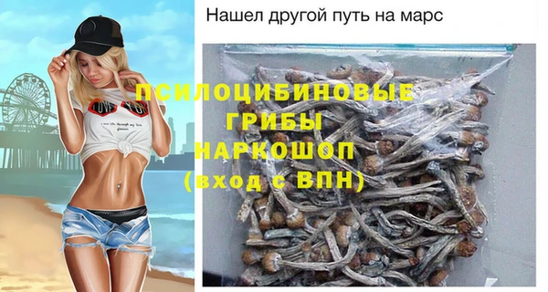 ГАЛЛЮЦИНОГЕННЫЕ ГРИБЫ Новозыбков