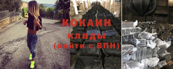 ГАЛЛЮЦИНОГЕННЫЕ ГРИБЫ Новозыбков