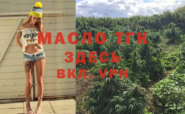 дживик Пестово