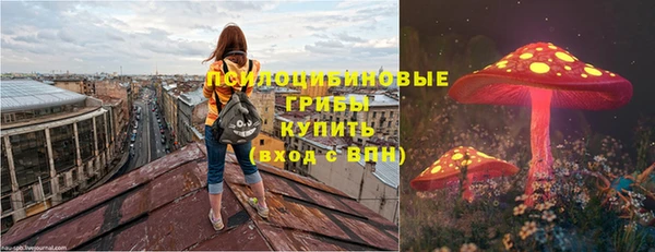 ГАЛЛЮЦИНОГЕННЫЕ ГРИБЫ Новозыбков