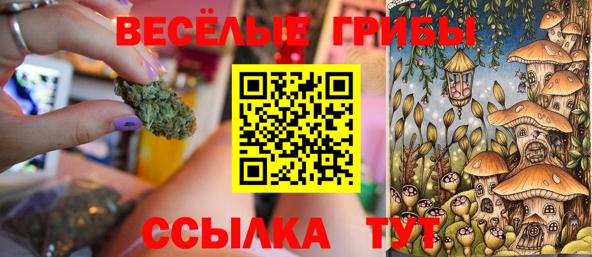 Псилоцибиновые грибы мицелий Тамбов