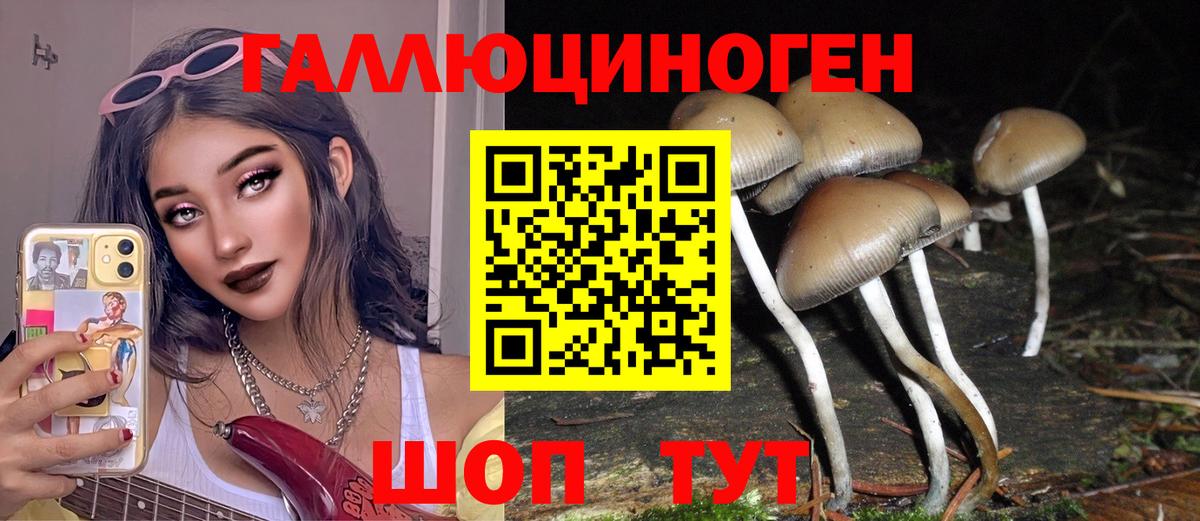 Галлюциногенные грибы GOLDEN TEACHER  Вход с VPN  Тамбов 